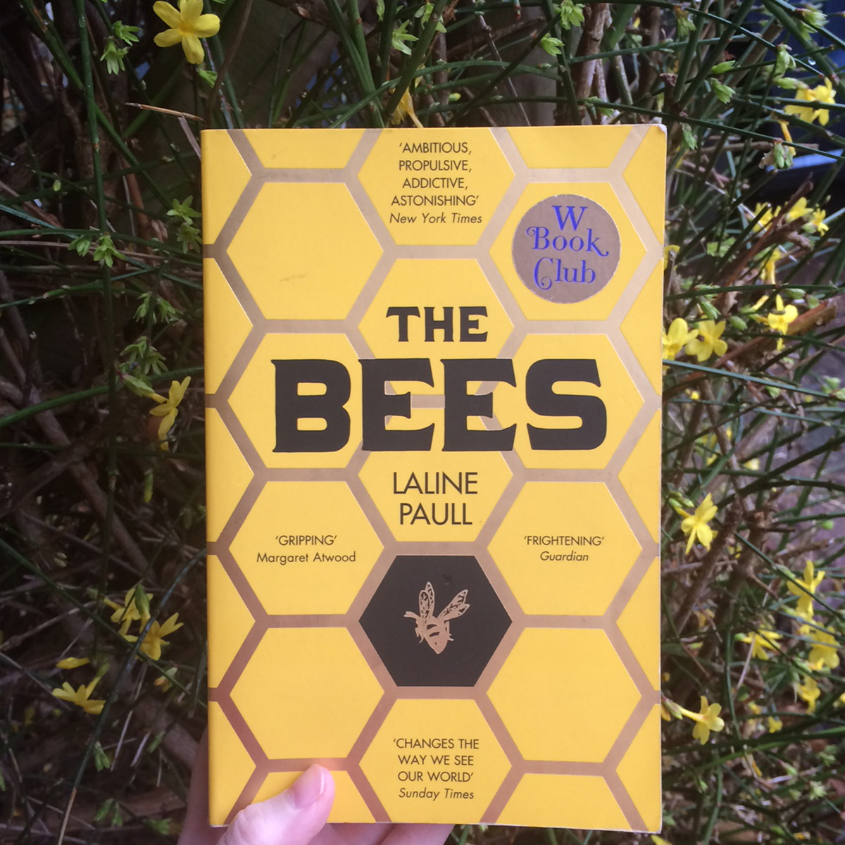 the bees laline paul book review books on the 7:47