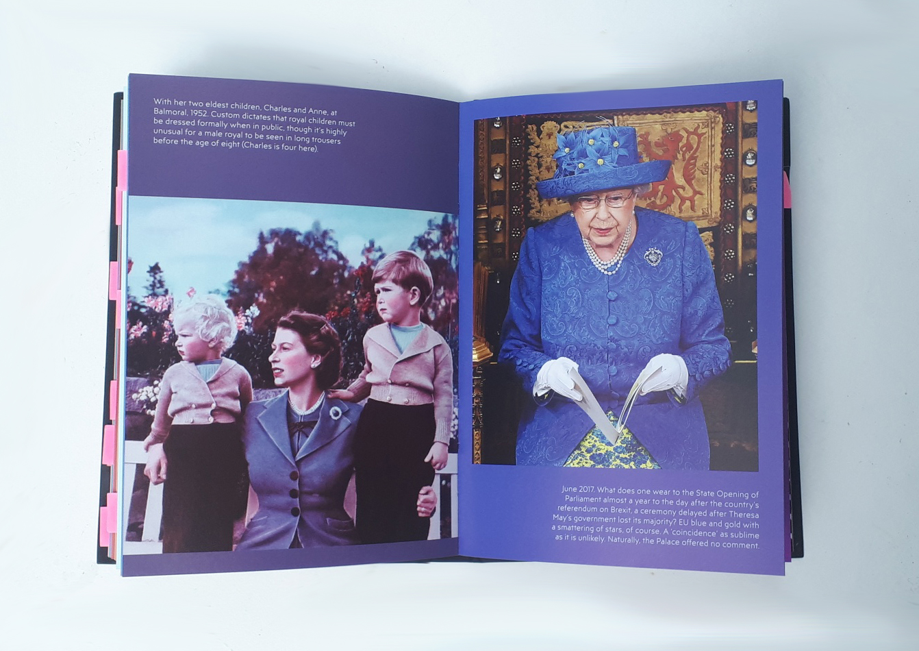 the-queen-eu-book-review