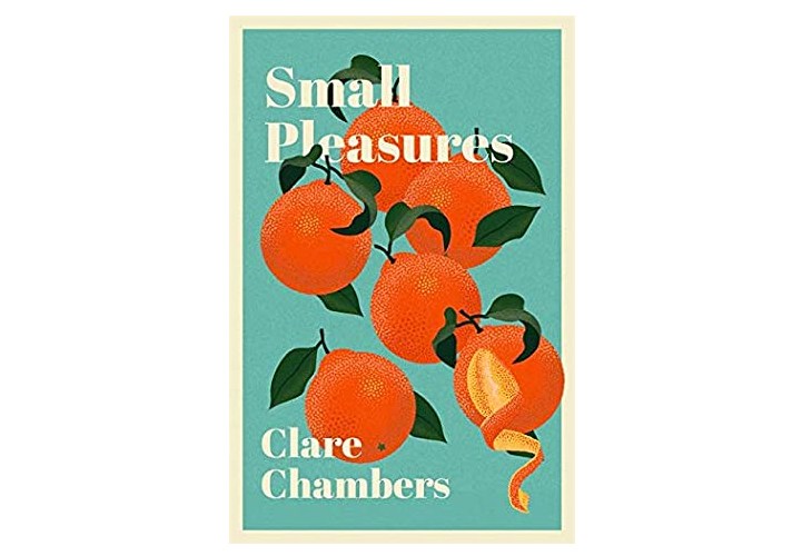 Small Pleasures Clare Chambers book review