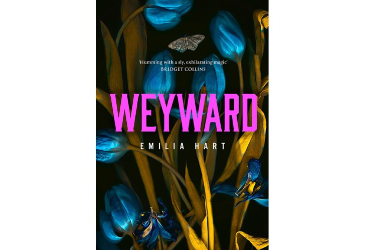 weyward emilia hart book review